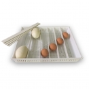 Universal Egg Tray - for all Brinsea OvaEasy Incubators. 100,190,380,580
